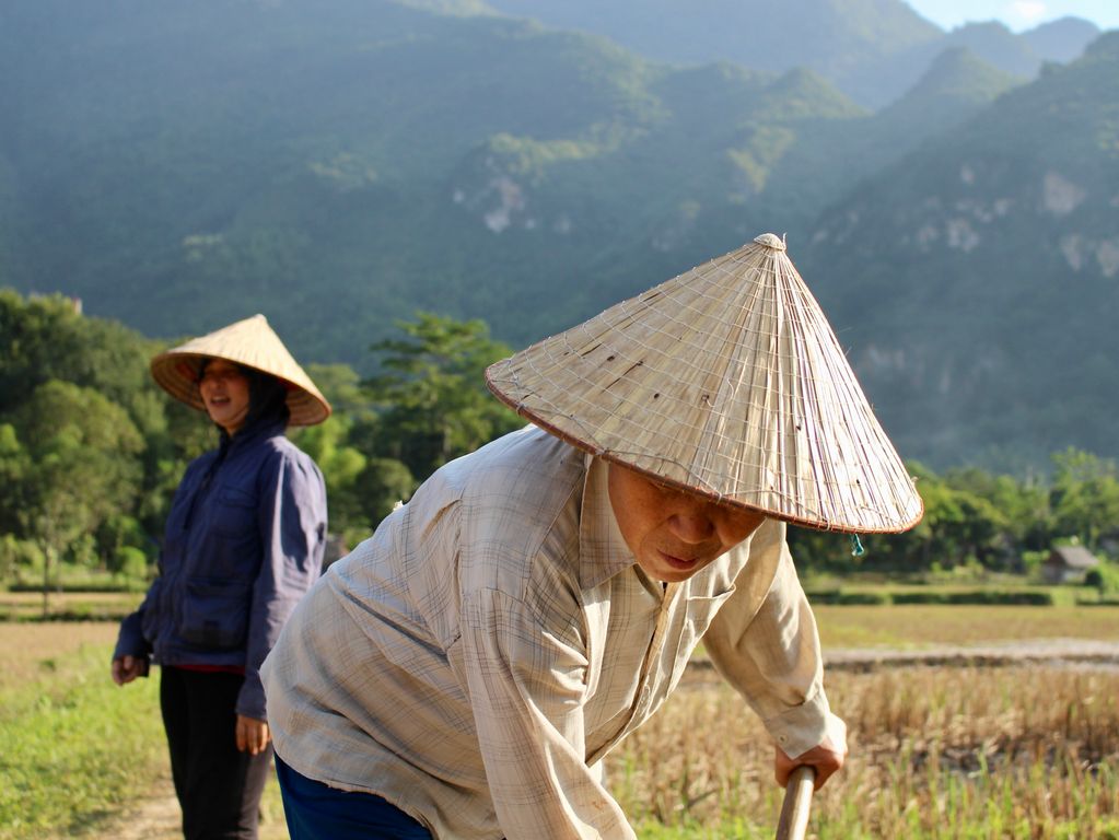 Mai Chau